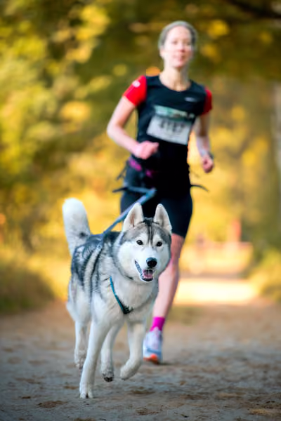 Leskros Mácháč 2026 — Leskros Mácháč - Sobota – 19. září 2026