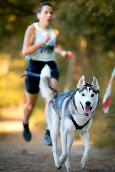 Leskros Mácháč 2026 — Leskros Mácháč - Sobota – 19. září 2026