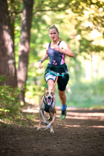 Leskros Mácháč 2026 — Leskros Mácháč - Sobota – 19. září 2026