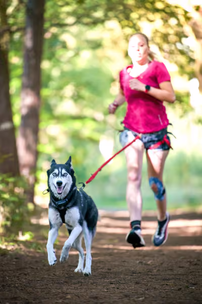Leskros Mácháč 2026 — Leskros Mácháč - Sobota – 19. září 2026