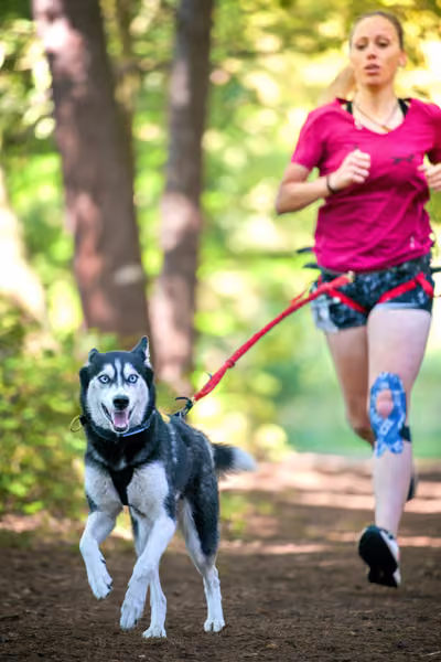 Leskros Mácháč 2026 — Leskros Mácháč - Sobota – 19. září 2026