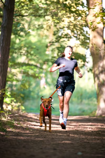 Leskros Mácháč 2026 — Leskros Mácháč - Sobota – 19. září 2026