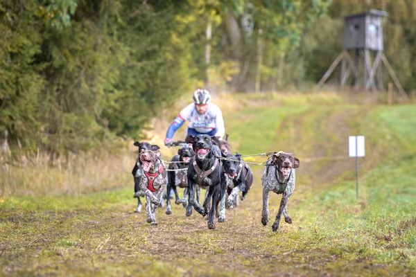 LOUKA 2026 | Český pohár ČASS — Louka - Sobota – Trasa