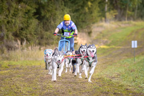 LOUKA 2026 | Český pohár ČASS — Louka - Sobota – Trasa