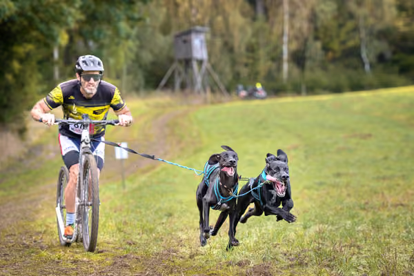 LOUKA 2026 | Český pohár ČASS — Louka - Sobota – Trasa