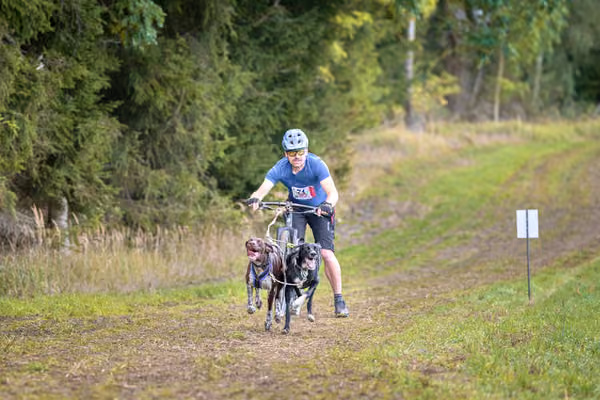 LOUKA 2026 | Český pohár ČASS — Louka - Sobota – Trasa