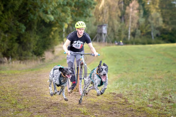 LOUKA 2026 | Český pohár ČASS — Louka - Sobota – Trasa