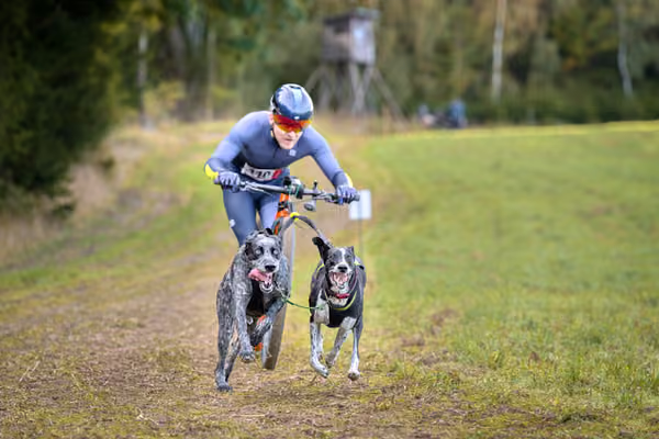 LOUKA 2026 | Český pohár ČASS — Louka - Sobota – Trasa