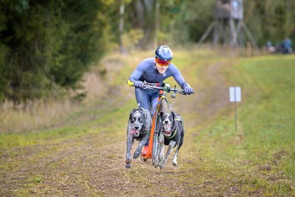 LOUKA 2026 | Český pohár ČASS — Louka - Sobota – Trasa