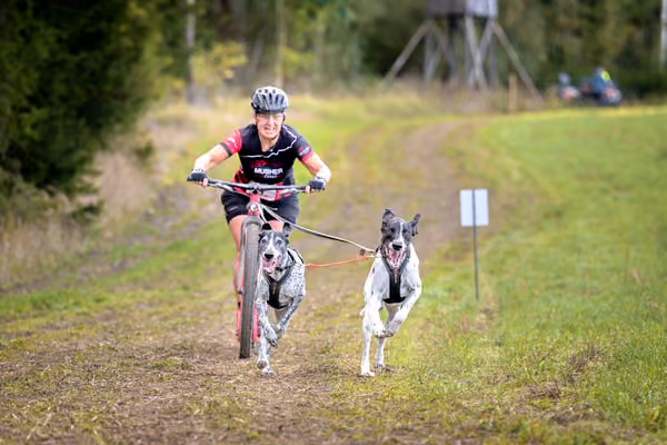 LOUKA 2026 | Český pohár ČASS — Louka - Sobota – Trasa