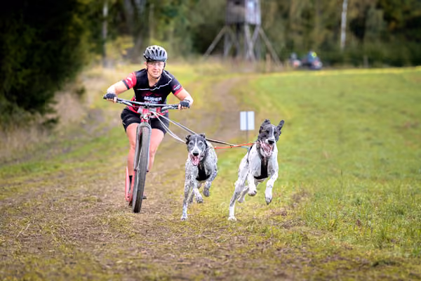 LOUKA 2026 | Český pohár ČASS — Louka - Sobota – Trasa