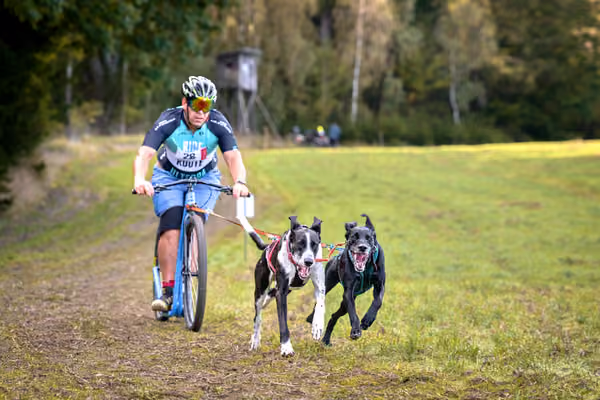 LOUKA 2026 | Český pohár ČASS — Louka - Sobota – Trasa