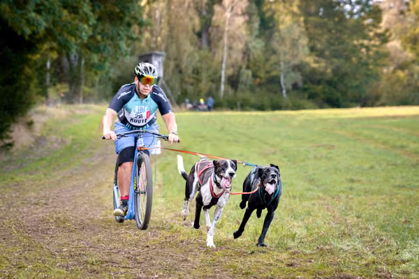 LOUKA 2026 | Český pohár ČASS — Louka - Sobota – Trasa