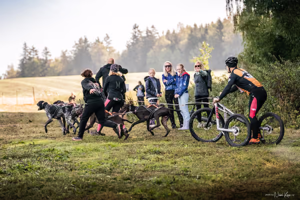 LOUKA 2026 | Český pohár ČASS — Louka - Sobota – Start a cíl