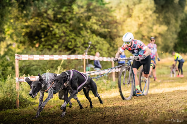 LOUKA 2026 | Český pohár ČASS — Louka - Sobota – Start a cíl