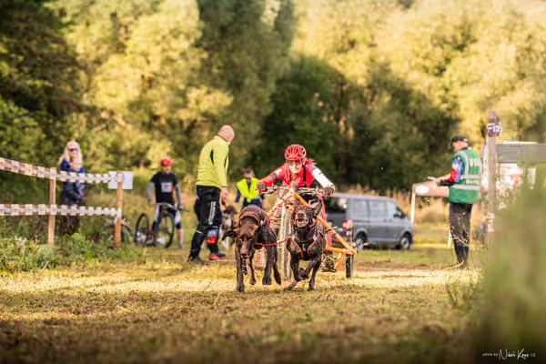 LOUKA 2026 | Český pohár ČASS — Louka - Sobota – Start a cíl