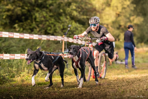 LOUKA 2026 | Český pohár ČASS — Louka - Sobota – Start a cíl