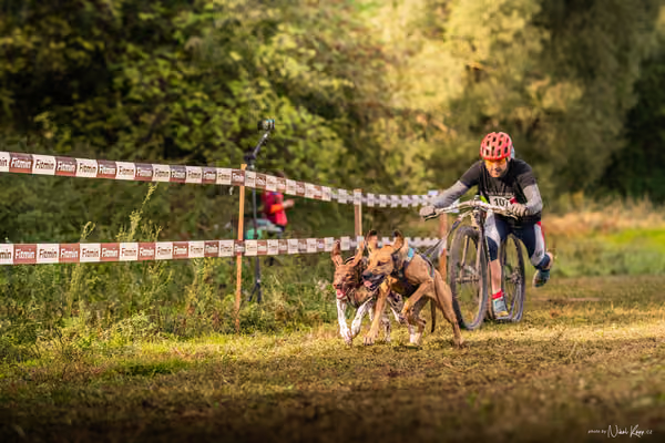 LOUKA 2026 | Český pohár ČASS — Louka - Sobota – Start a cíl