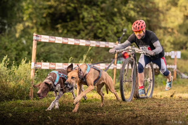 LOUKA 2026 | Český pohár ČASS — Louka - Sobota – Start a cíl
