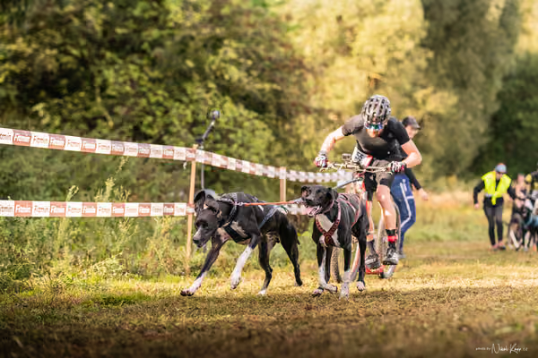 LOUKA 2026 | Český pohár ČASS — Louka - Sobota – Start a cíl