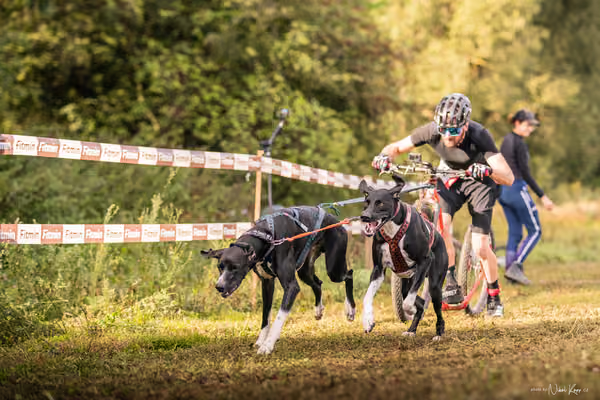 LOUKA 2026 | Český pohár ČASS — Louka - Sobota – Start a cíl