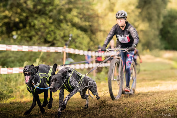 LOUKA 2026 | Český pohár ČASS — Louka - Sobota – Start a cíl