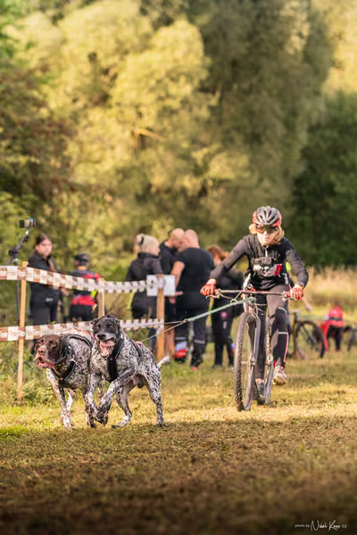 LOUKA 2026 | Český pohár ČASS — Louka - Sobota – Start a cíl