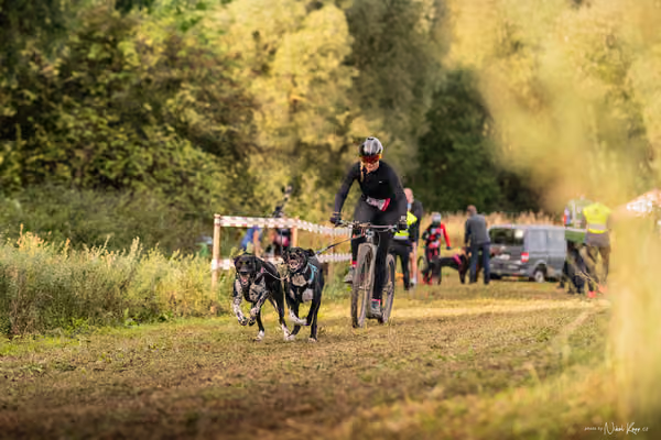 LOUKA 2026 | Český pohár ČASS — Louka - Sobota – Start a cíl