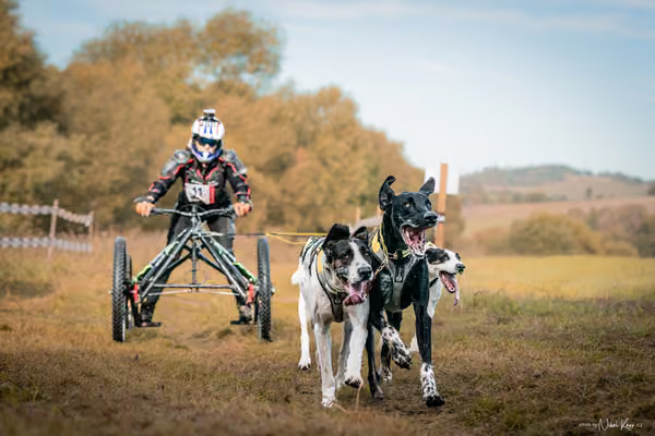 LOUKA 2026 | Český pohár ČASS — Louka - Sobota – Start a cíl