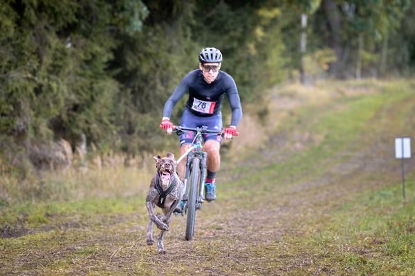 LOUKA 2026 | Český pohár ČASS — Louka - Sobota – Trasa