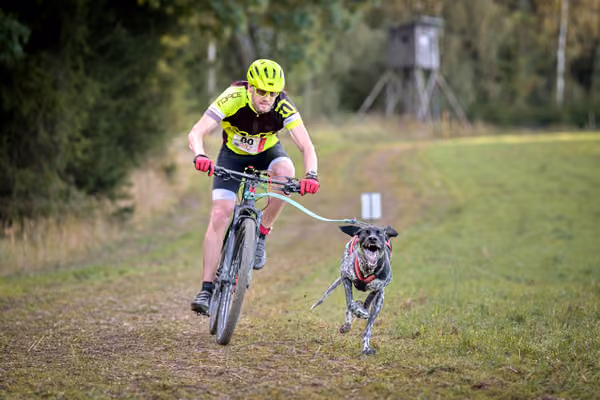 LOUKA 2026 | Český pohár ČASS — Louka - Sobota – Trasa