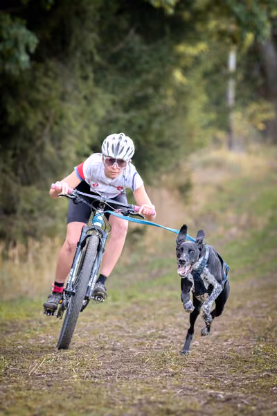 LOUKA 2026 | Český pohár ČASS — Louka - Sobota – Trasa