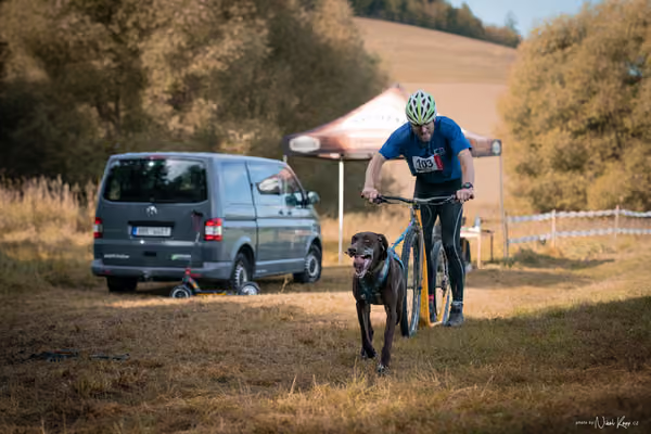 LOUKA 2026 | Český pohár ČASS — Louka - Sobota – Start a cíl