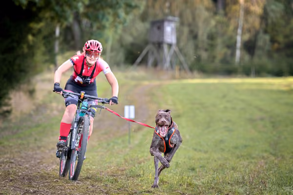 LOUKA 2026 | Český pohár ČASS — Louka - Sobota – Trasa