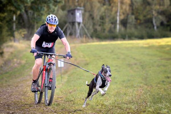 LOUKA 2026 | Český pohár ČASS — Louka - Sobota – Trasa