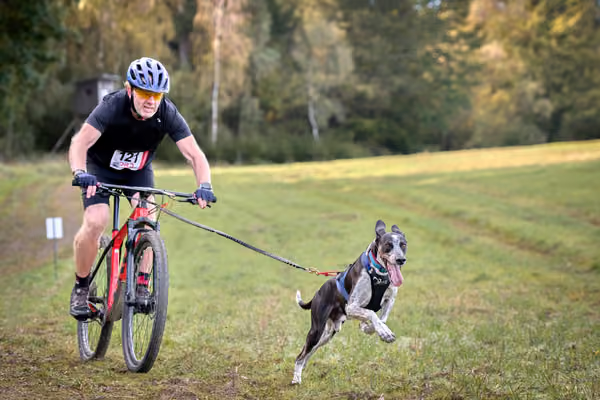 LOUKA 2026 | Český pohár ČASS — Louka - Sobota – Trasa