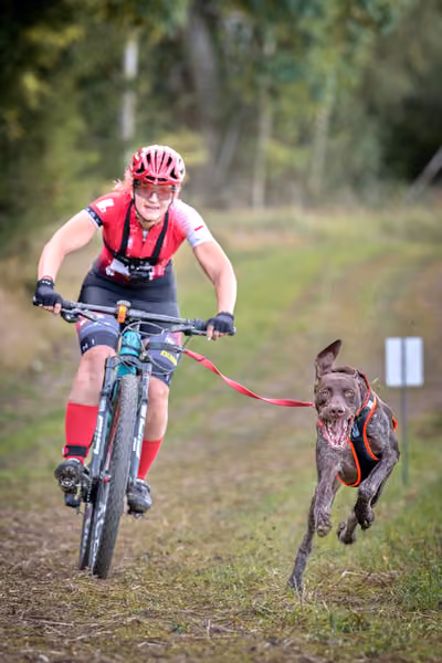 LOUKA 2026 | Český pohár ČASS — Louka - Sobota – Trasa