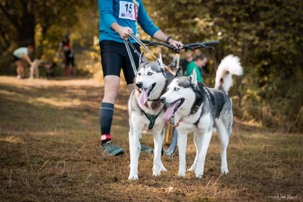LOUKA 2026 | Český pohár ČASS — Louka - Sobota – Start a cíl