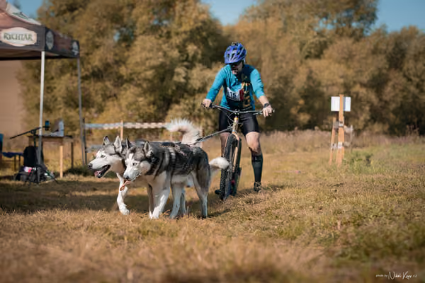 LOUKA 2026 | Český pohár ČASS — Louka - Sobota – Start a cíl