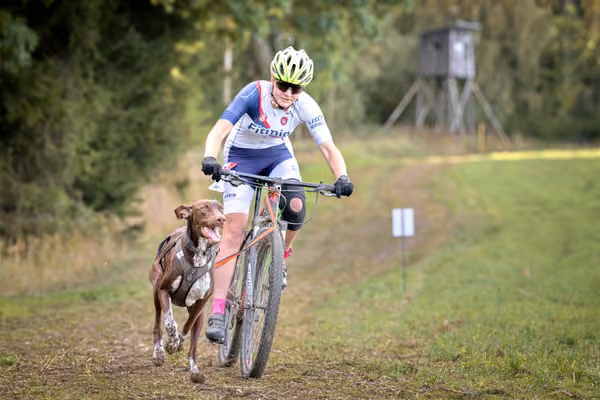 LOUKA 2026 | Český pohár ČASS — Louka - Sobota – Trasa