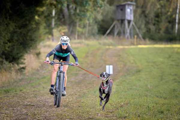 LOUKA 2026 | Český pohár ČASS — Louka - Sobota – Trasa