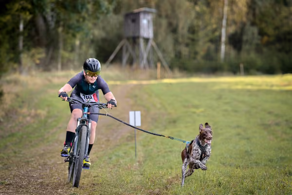 LOUKA 2026 | Český pohár ČASS — Louka - Sobota – Trasa