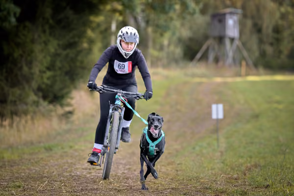 LOUKA 2026 | Český pohár ČASS — Louka - Sobota – Trasa