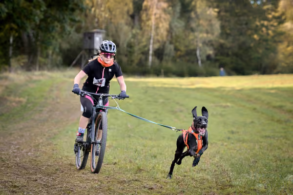 LOUKA 2026 | Český pohár ČASS — Louka - Sobota – Trasa