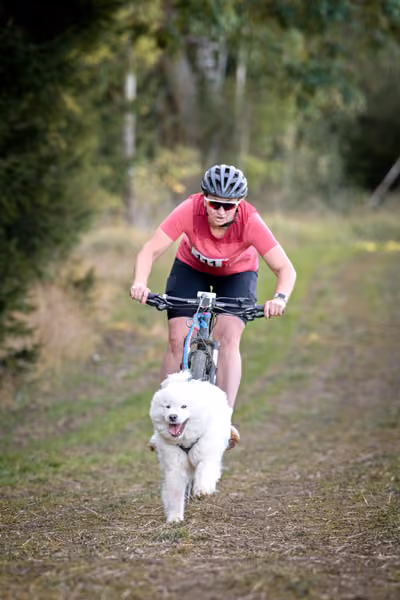 LOUKA 2026 | Český pohár ČASS — Louka - Sobota – Trasa