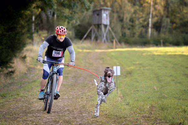 LOUKA 2026 | Český pohár ČASS — Louka - Sobota – Trasa