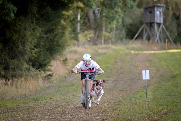LOUKA 2026 | Český pohár ČASS — Louka - Sobota – Trasa