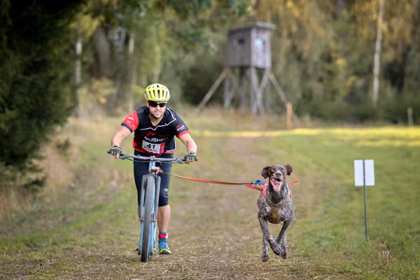 LOUKA 2026 | Český pohár ČASS — Louka - Sobota – Trasa