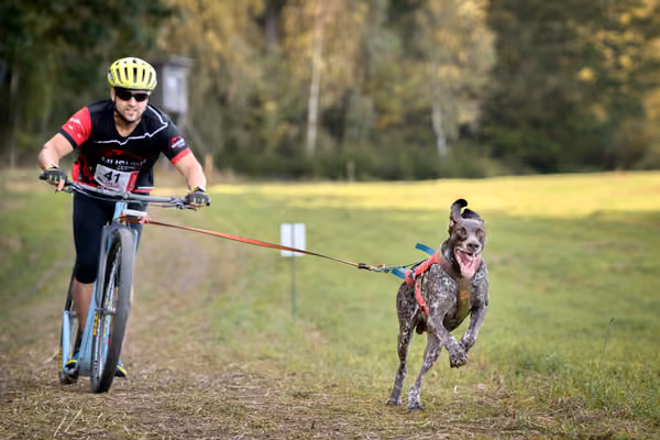 LOUKA 2026 | Český pohár ČASS — Louka - Sobota – Trasa