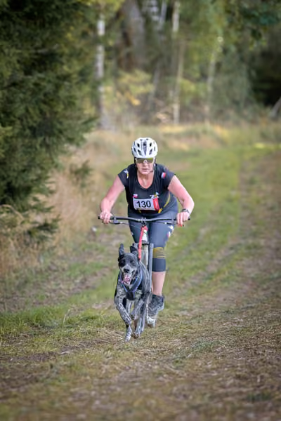 LOUKA 2026 | Český pohár ČASS — Louka - Sobota – Trasa